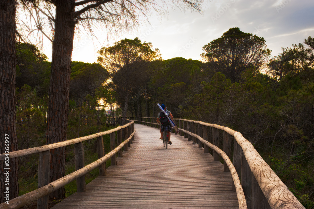 Bike path of the well-known summer resort of Bibione, famous for its large beaches. Veneto, Italy.