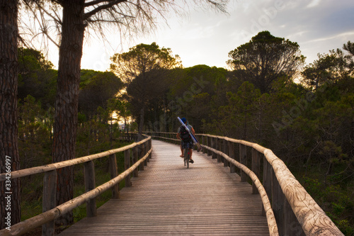 Bike path of the well-known summer resort of Bibione, famous for its large beaches. Veneto, Italy. #334266997