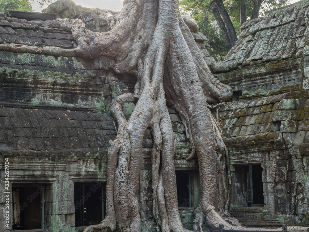 Ta Prohm temple, Angkor complex, Siem Reap Cambodia - old tree growing on a temple, cloudy sky in a background