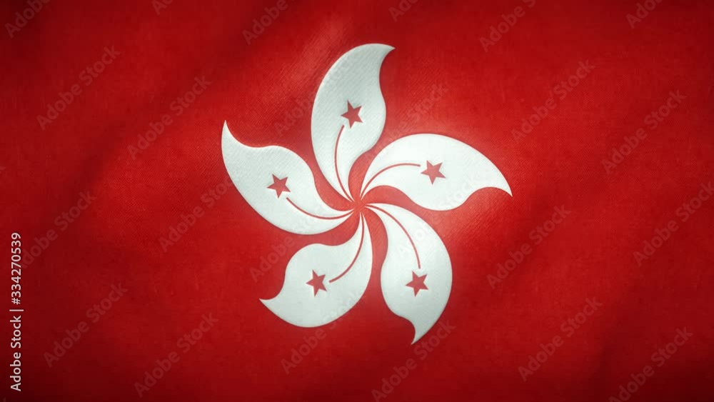flag of Hong Kong waving in the wind