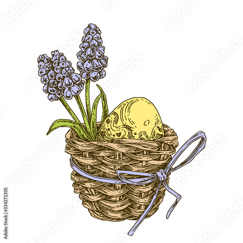 Wicker basket with Easter egg and Muscari flowers. Color. Engraving style. Vector illustration.