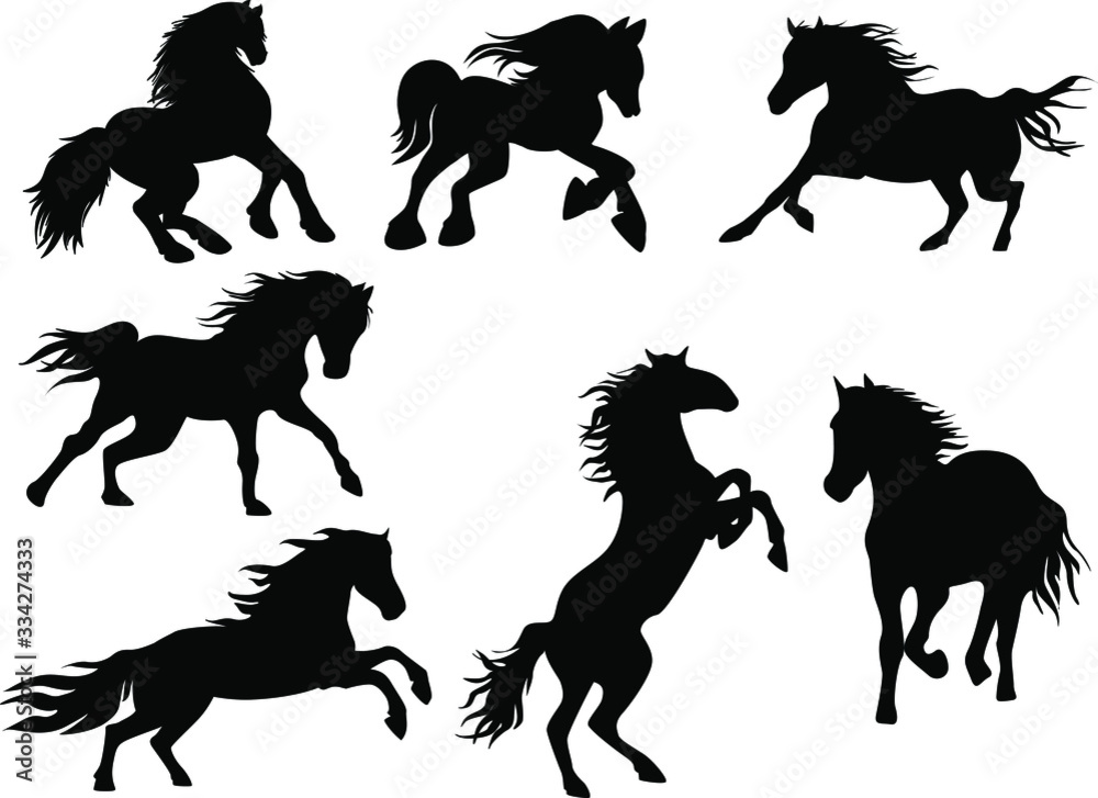Image of silhouettes in different horse poses. Vector image. EPS10