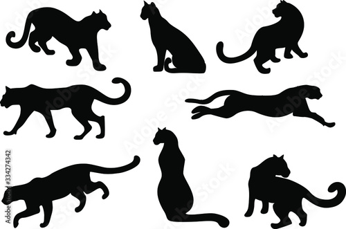 Fototapeta Naklejka Na Ścianę i Meble -  Image of silhouettes in different poses of a feline. Vector image. EPS10