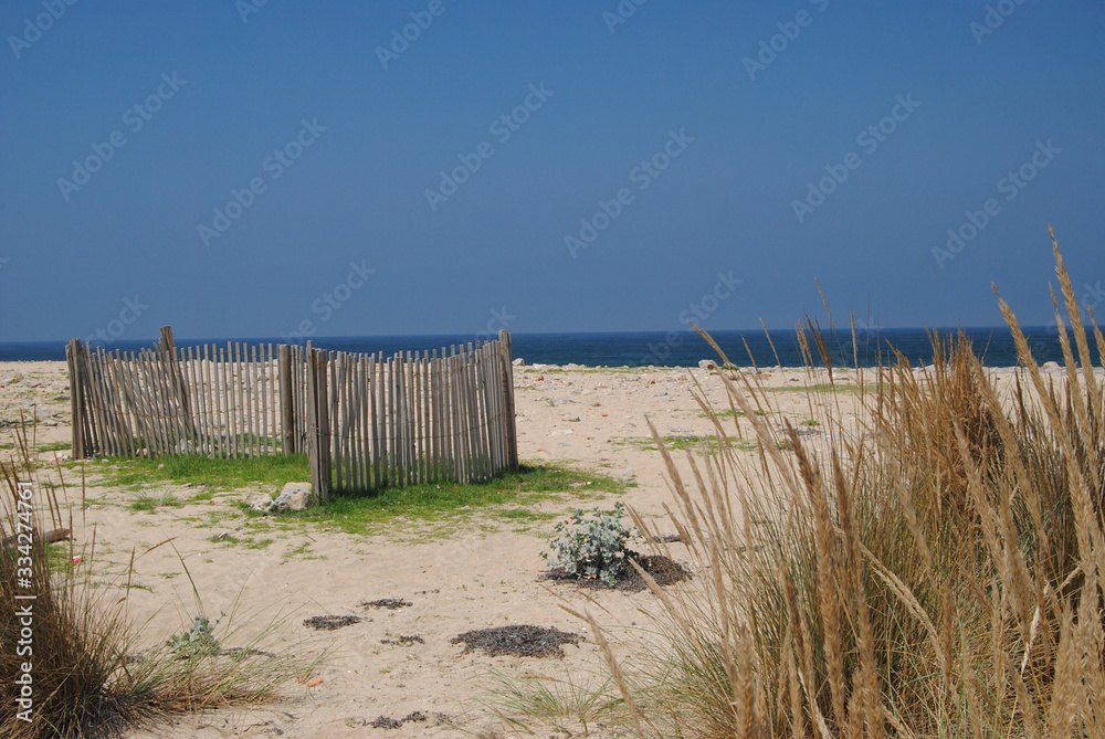 Vedação de madeira esquecida no tempo no meio de uma praia com pequena vegetação em redor