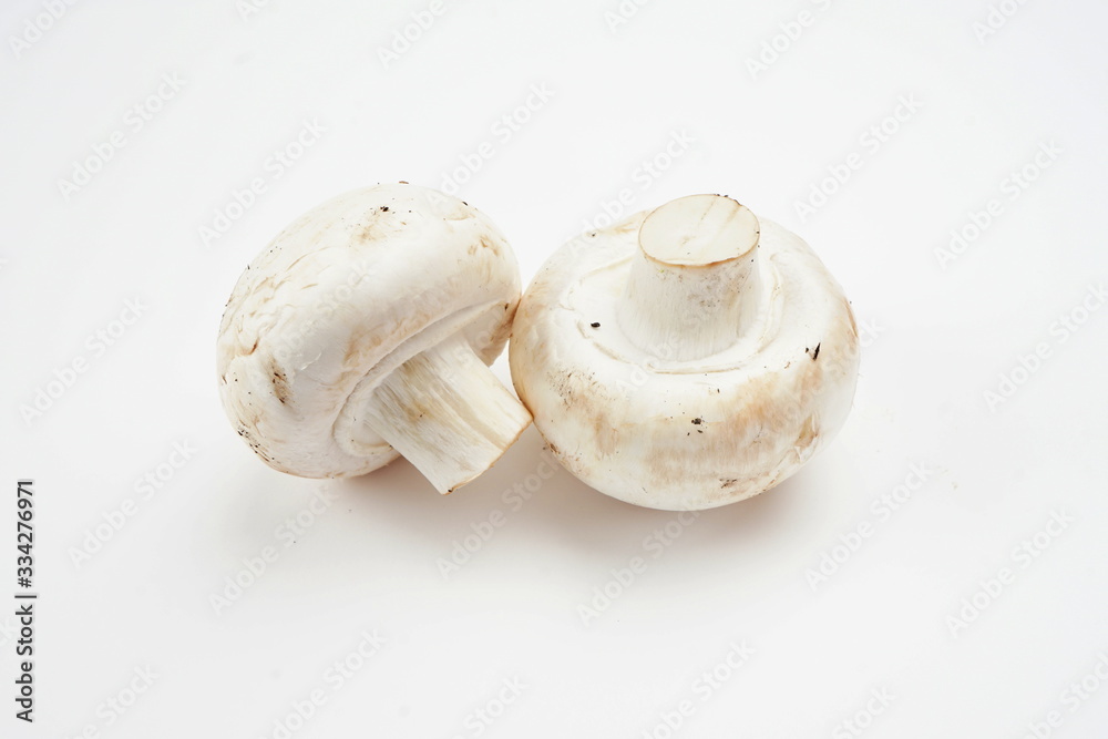 Mushrooms isolated on a light background Mushrooms isolated on a light background