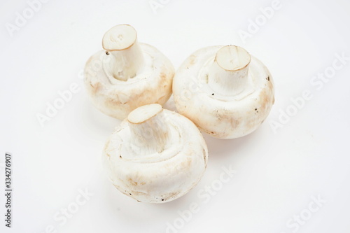 Mushrooms isolated on a light background