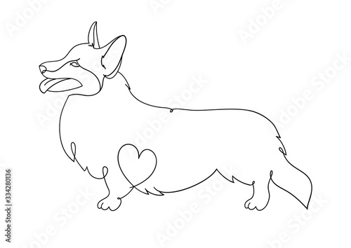 Welsh Corgi-cardigan. Corgi. Vector illustrations drawn by hand. Original linear image of a dog with a heart.