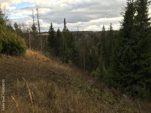 landscape in the mountains