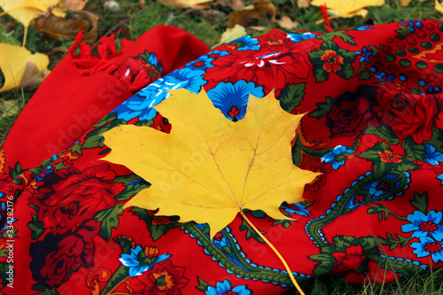autumn leaves background