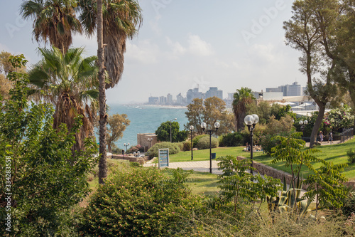 View of Tel Aviv, Israel and the Mediterranean Sea Through the Trees in Abrasha Park, Old Jaffa photo