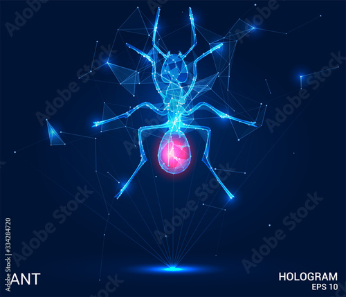 The ant hologram. An ant made up of polygons, triangles, points, and lines. Ant low-poly compound structure. The technology concept.