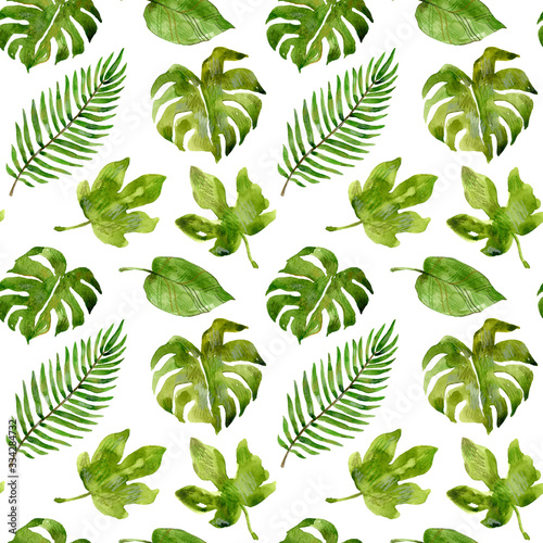 Watercolor tropical pattern of plants: monstera, fig, palm. Hand drawn illustration isolated on white background. Seamless ornament of green leaves.
