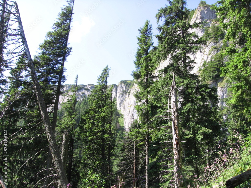 Fototapeta premium Montagna