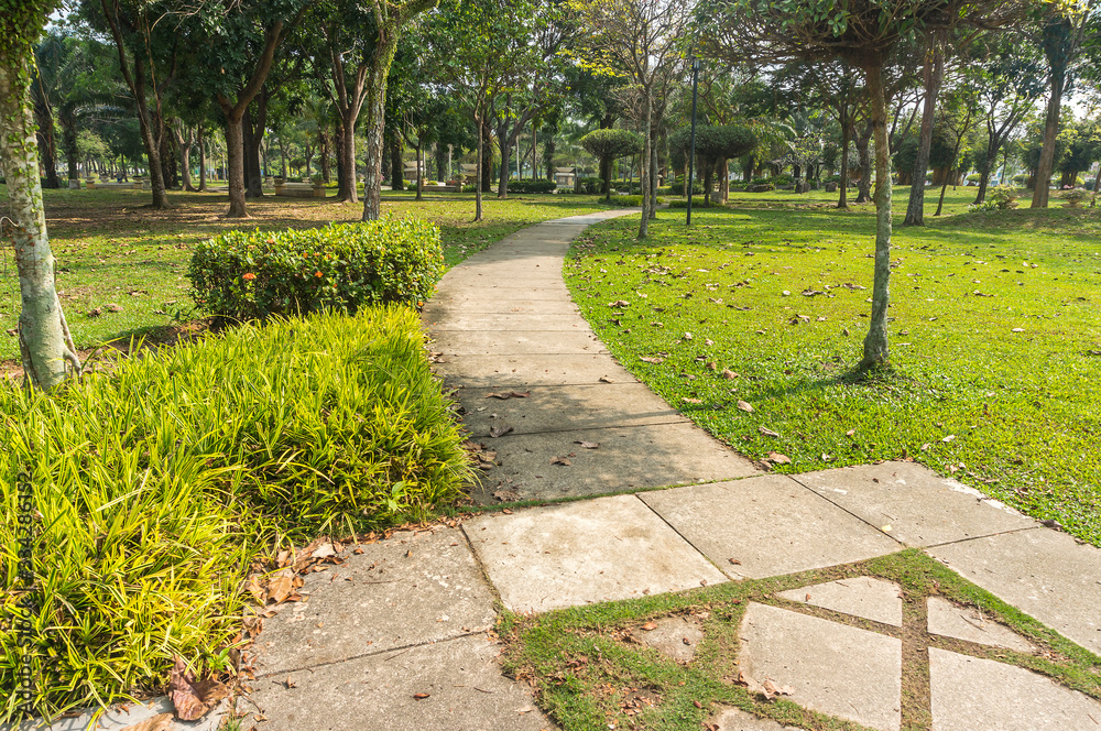 Jogging track at green garden Jogging track at green garden