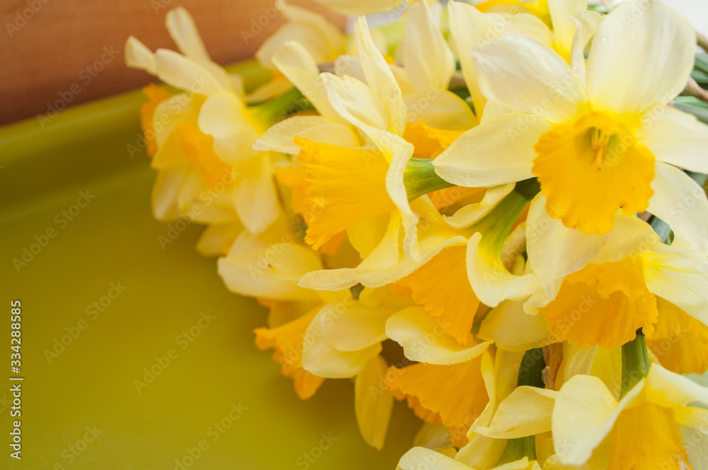 yellow daffodil flowers yellow daffodil flowers
