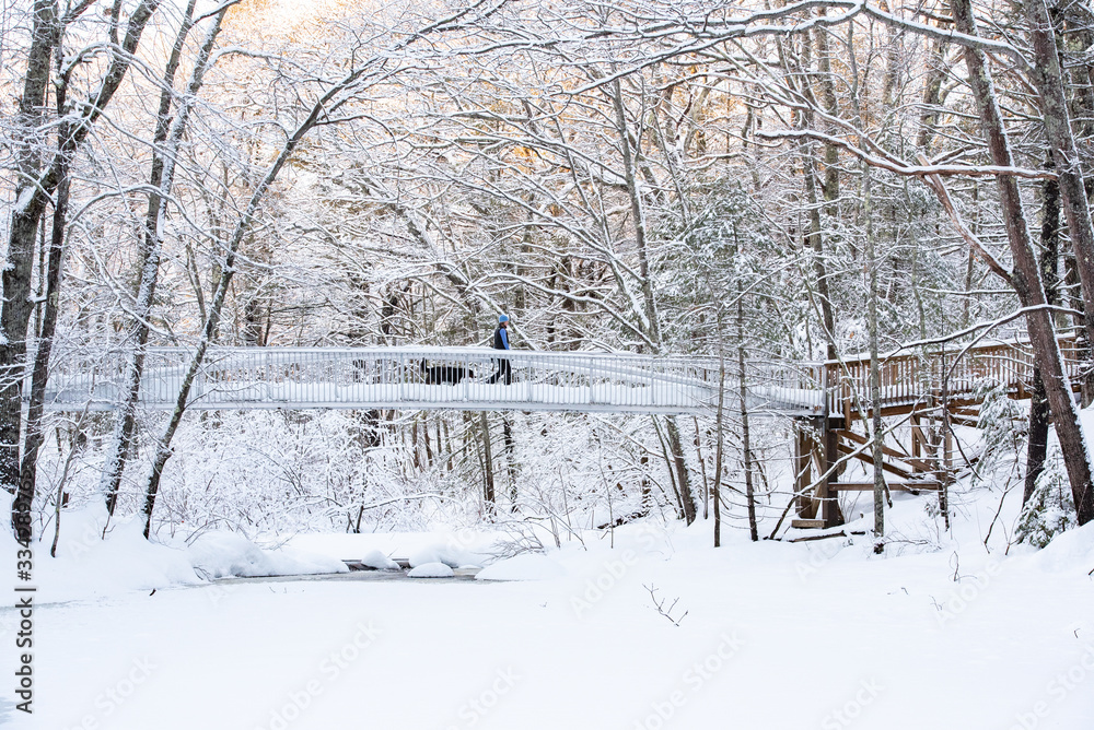 snow covered bridge in winter with girl and dog hiking snow covered bridge in winter with girl and dog hiking