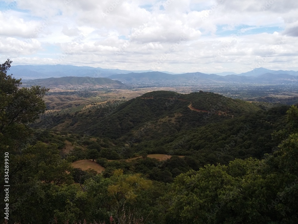 NATURALEZA REAL NATURALEZA REAL