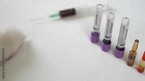 Scientists test lab rat, mouse with syringe. Scientist and lab rat Back ground. Coronavrius test tubes.	Coronavirus vaccine. photo