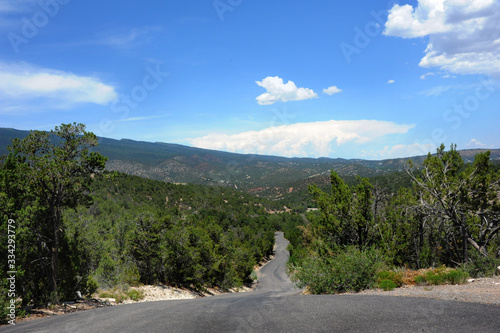 Descending Road in the Sandia Mountains