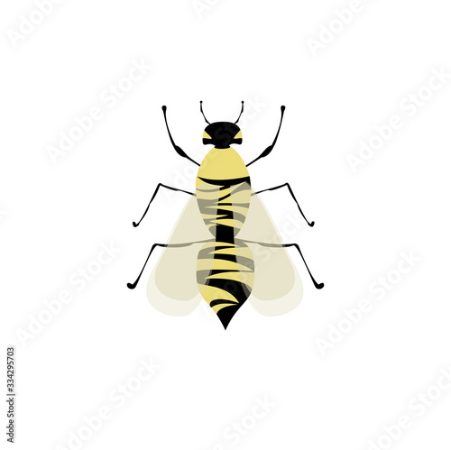 wasp flat top view. vector illustration