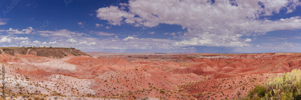 Fototapeta premium Petrified Forest National Park, Arizona, USA