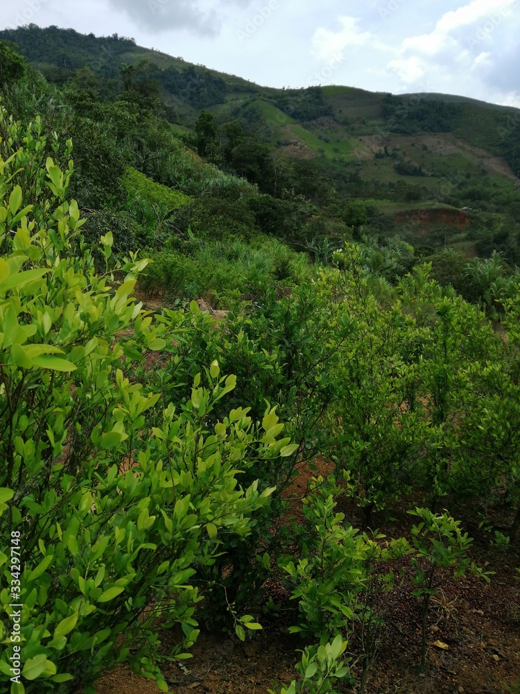 Obraz premium view of mountains