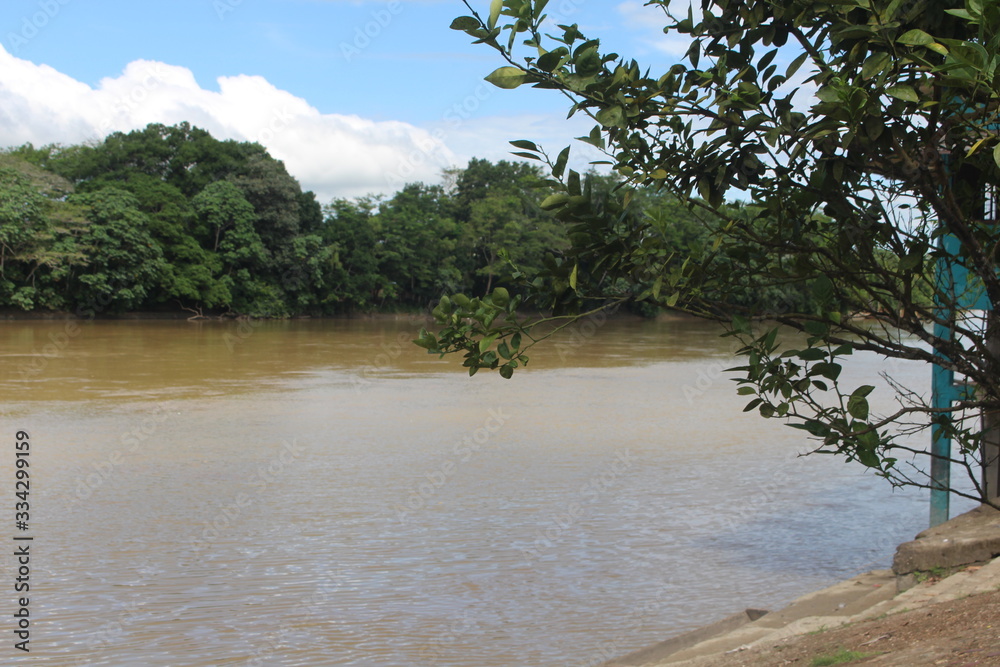river in forest river in forest