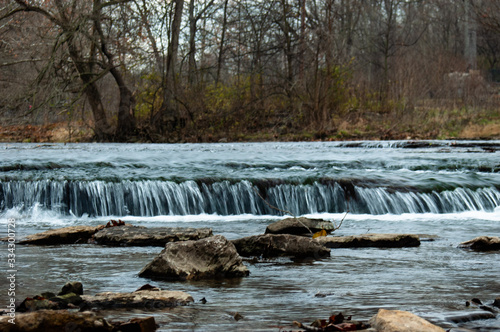 river in forest