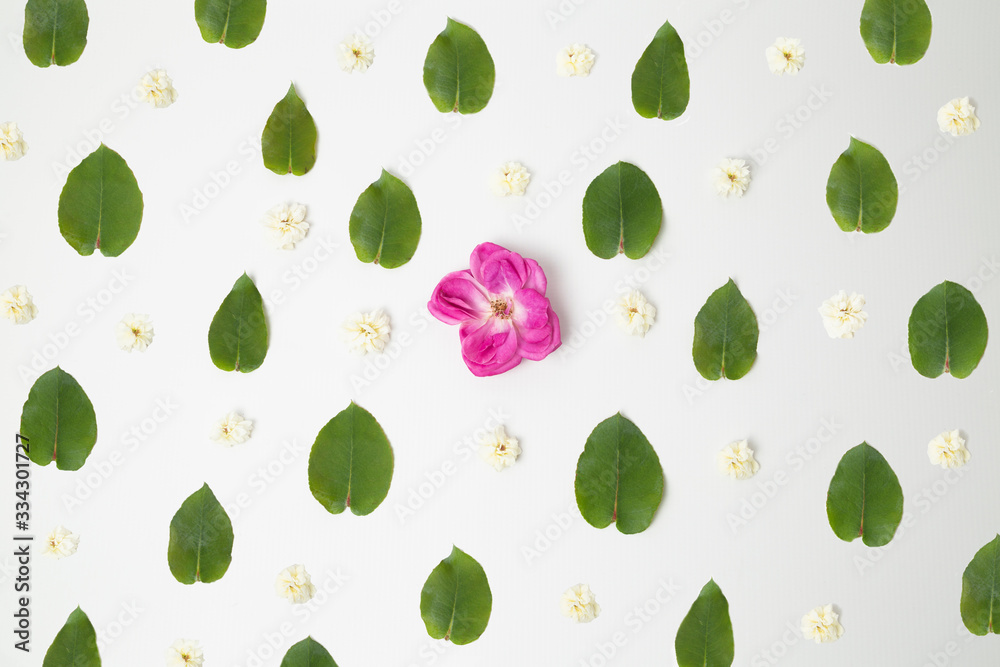 Floral pattern with roses and green leaves on white background - field rose and eucalyptus leaves Floral pattern with roses and green leaves on white background - field rose and eucalyptus leaves