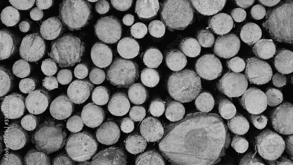 black and white logs of wood black and white logs of wood