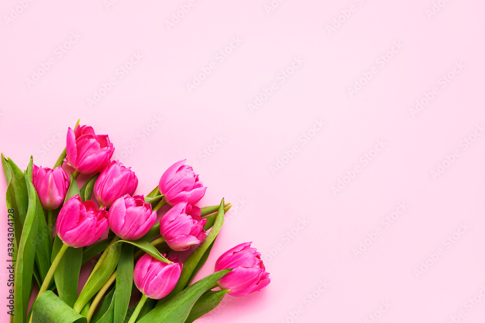 Bouquet of bright pink tulips on pink background. Beautiful greeting card. Mothers day, Valentines Day, Birthday celebration concept. Copy space, top view