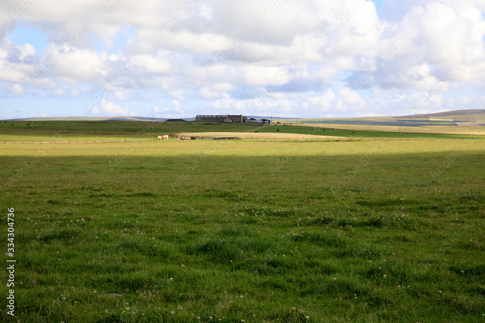 Orkney (Scotland), UK - August 09, 2018: A typical landscape in the Orkney islands, Orkney, Scotland, Highlands, United Kingdom Orkney (Scotland), UK - August 09, 2018: A typical landscape in the Orkney islands, Orkney, Scotland, Highlands, United Kingdom