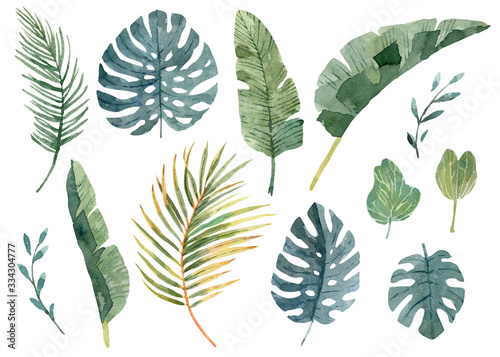 Collection of watercolor tropical green leaves. Isolated illustration on white background