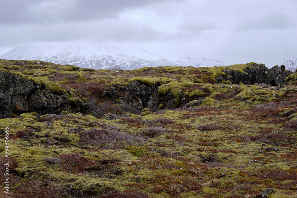 The Tektonic plates split in Iceland on a cloudy and drizzly day