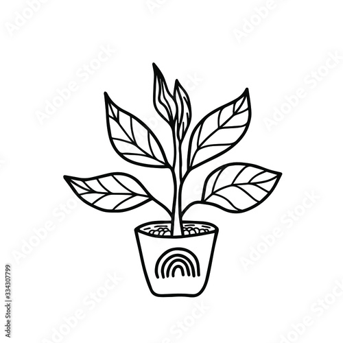 Cute plant in a flower pot with a rainbow. Vector illustration in doodle style of a home plant. Isolated object for your design.