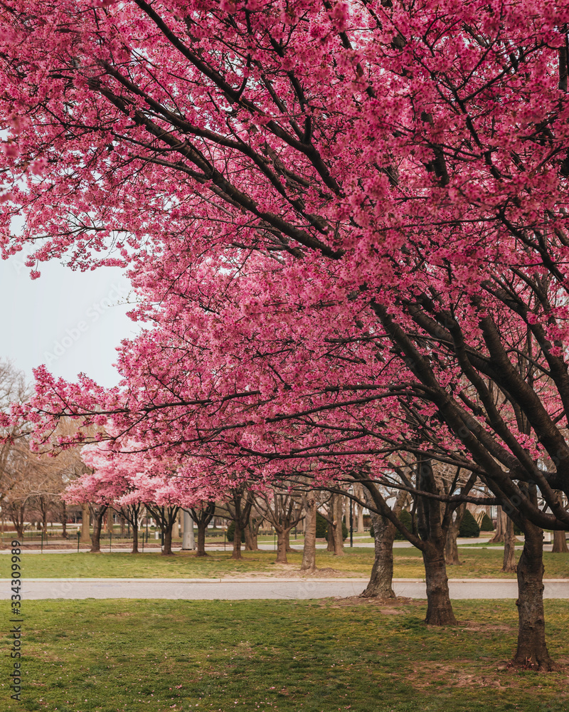 Flushing Meadows-Corona Park (Queens, NY) Flushing Meadows-Corona Park (Queens, NY)