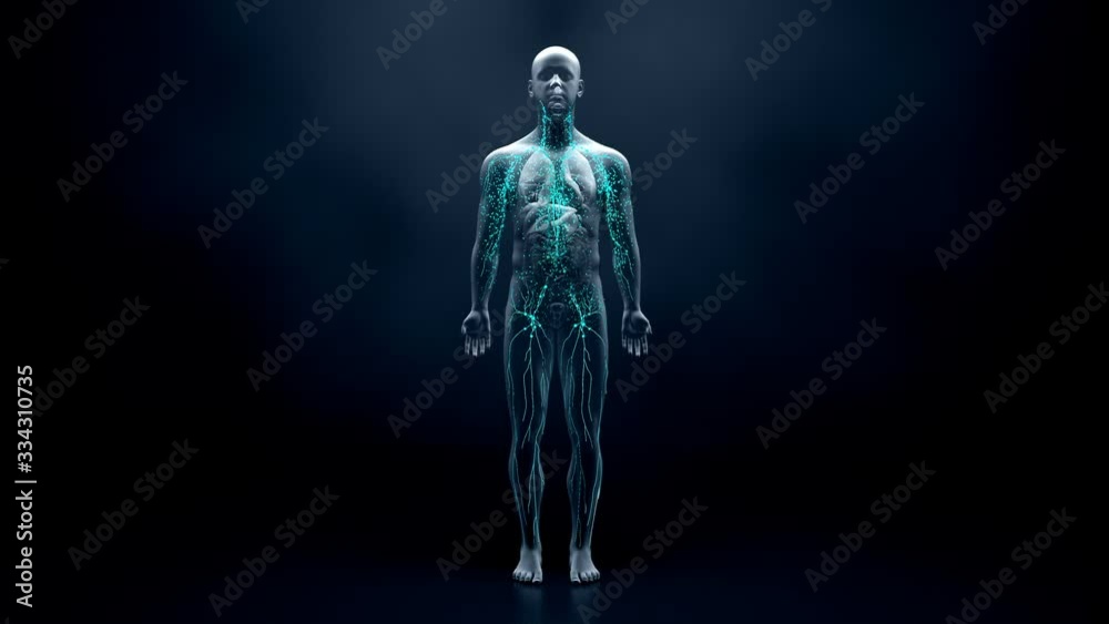 Immune system defends the body against infections and diseases