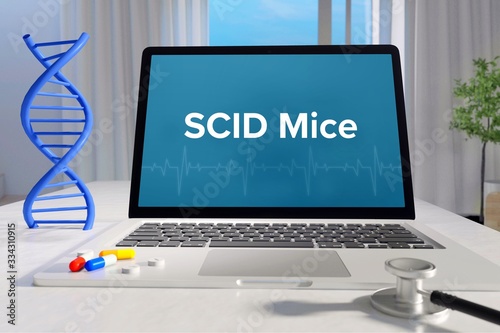 SCID Mice – Medicine/health. Computer in the office with term on the screen. Science/healthcare photo