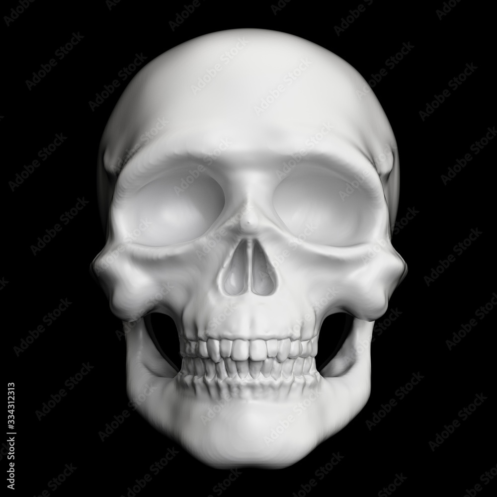 Fototapeta premium Ilustracja 3D renderowane białą czaszkę