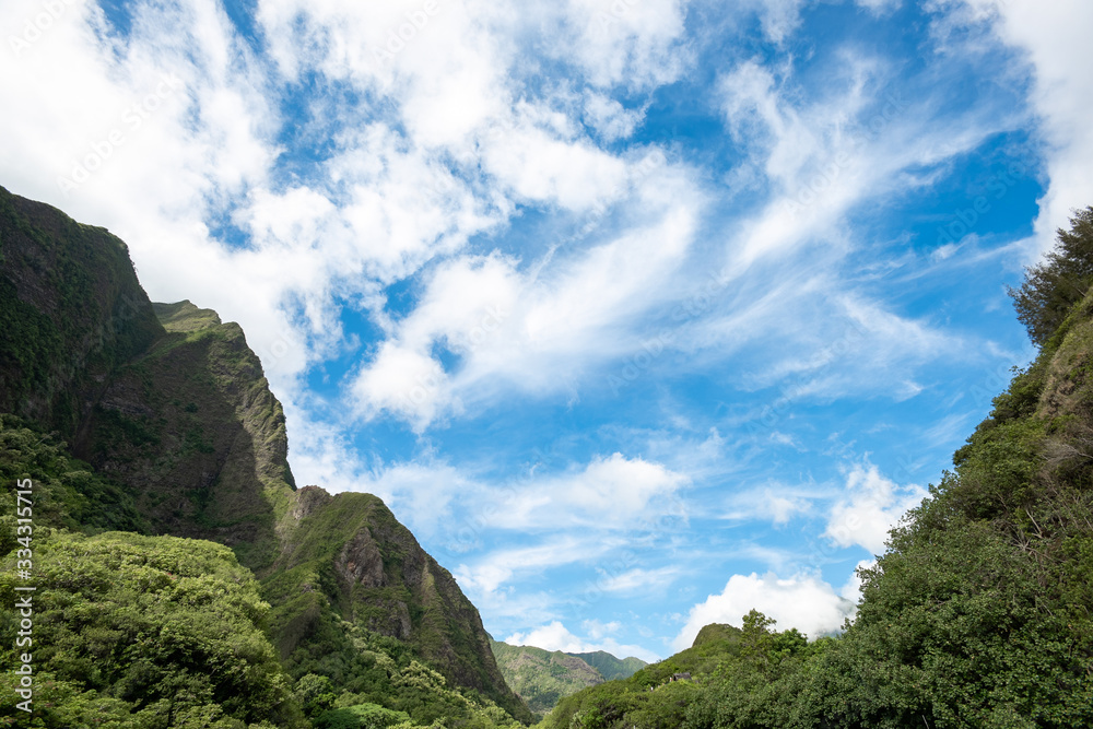 Nature Vignette,  Blue Sky, Trees, Leaves, and flowers, dramatic white clouds