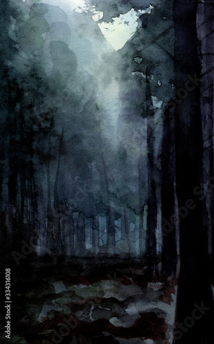 watercolor illustration Dark Wood trees fog Hand Drawing Background