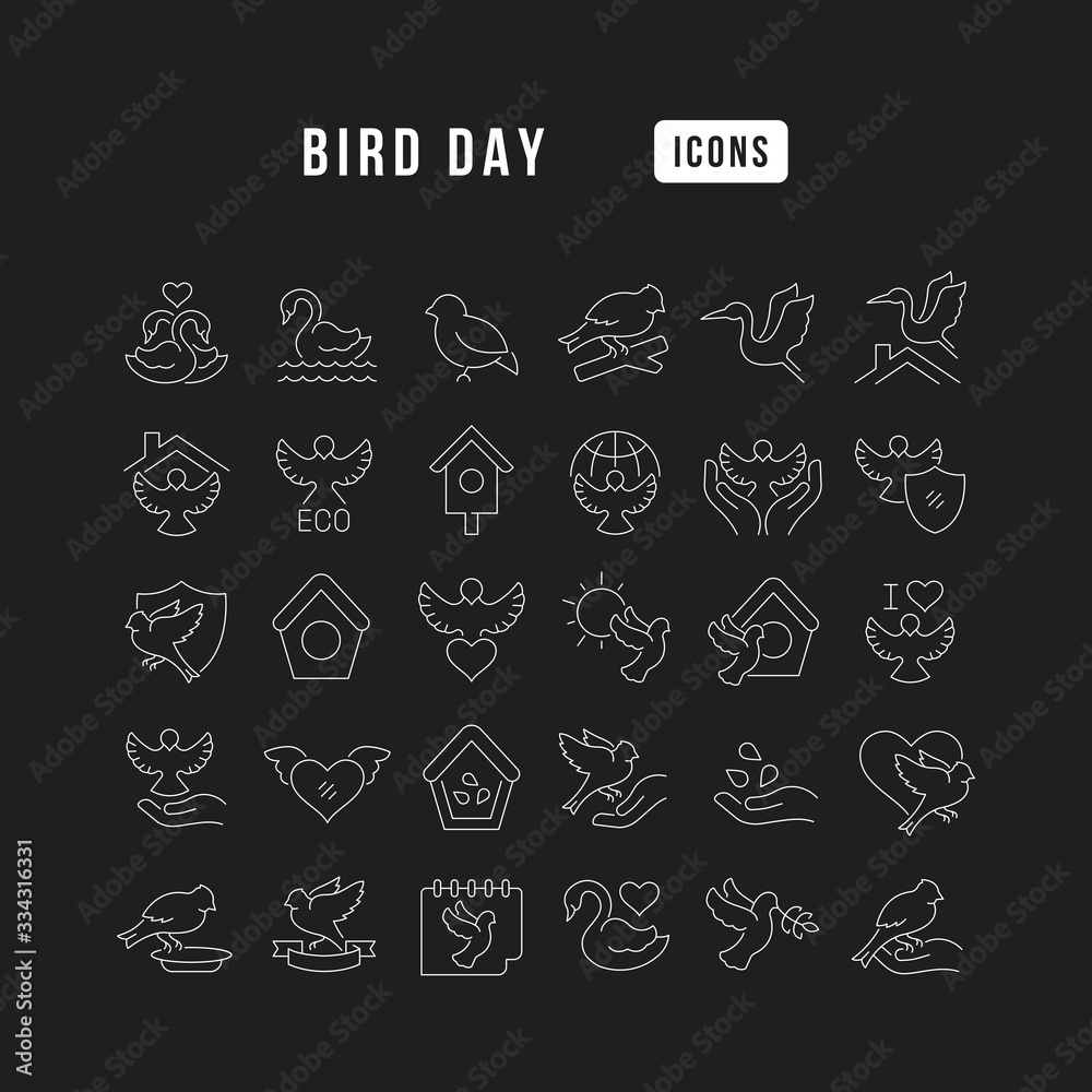 Vector Line Icons of Bird Day
