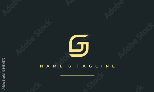 Alphabet letter icon logo G