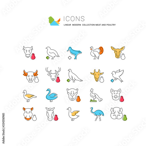 Set Vector Line Icons of Meat and Poultry.