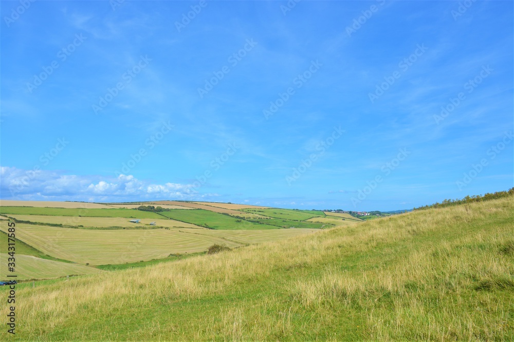 Green Field and Blue Sky in British Countryside