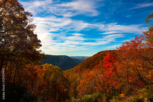 Babcock State Park Overlook