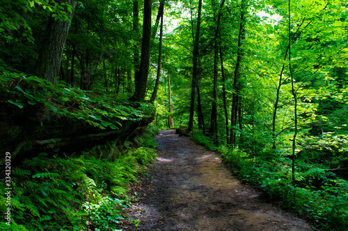 Wallpaper Mural Hocking Hills State Forest Torontodigital.ca