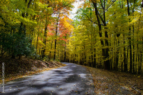Babcock State Park