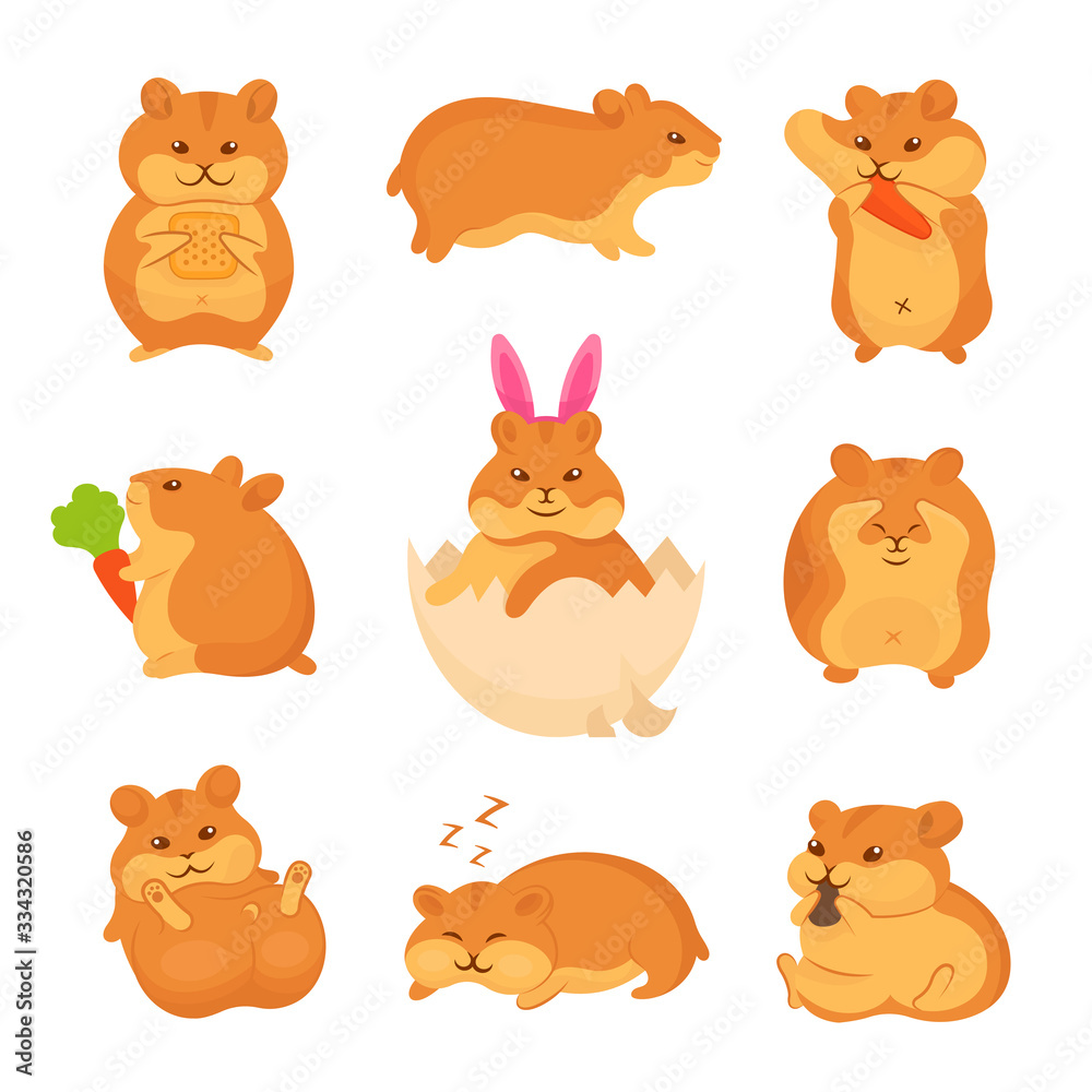 Set of vector illustrations of golden hamsters. Collection pets for stickers and prints. Cute characters for your design. Set of vector illustrations of golden hamsters. Collection pets for stickers and prints. Cute characters for your design.