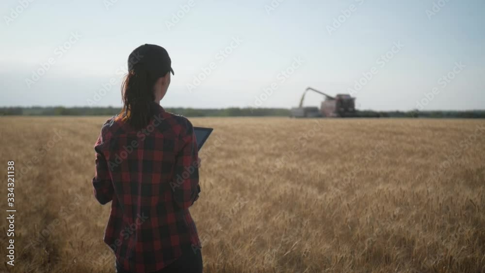 Farmer woman with tablet working in wheat field during harvesting by a combine, she controls the harvesting process. The girl uses a tablet, plans to harvest. Concept of technology in agriculture Farmer woman with tablet working in wheat field during harvesting by a combine, she controls the harvesting process. The girl uses a tablet, plans to harvest. Concept of technology in agriculture